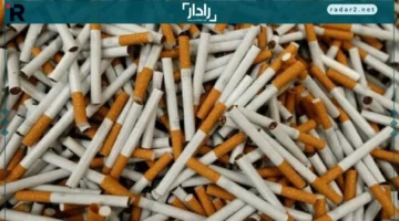 أسعار السجائر.. تحديث السبت 15 نوفمبر 2025 يكشف آخر التغيرات الرسمية في السوق